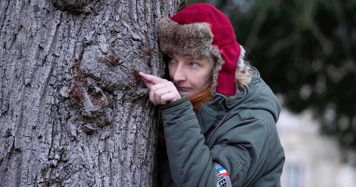 Audiences : France 2 en tête avec Capitaine Marleau, M6 à la traîne avec du cinéma