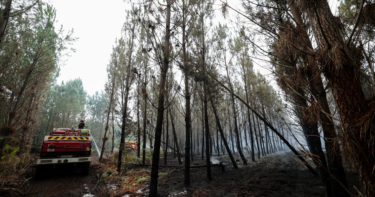 EN DIRECT - Incendie dans les Landes : une situation «plutôt favorable» ce matin, le retour des évacués n’est pas à l’ordre du jour