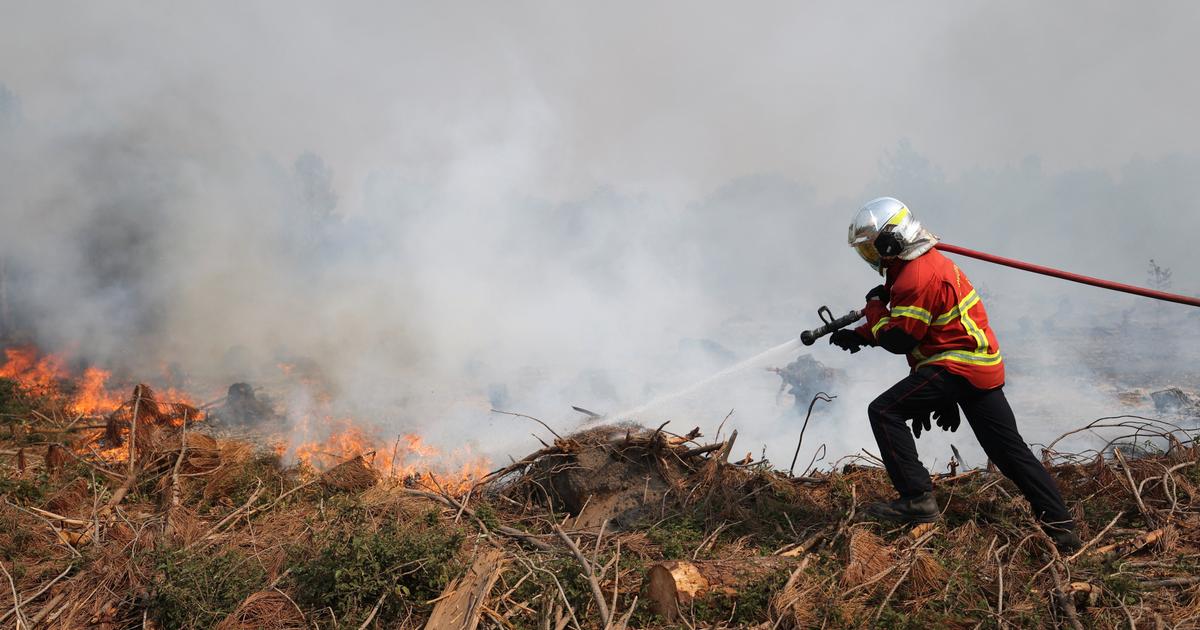 Landes : le feu qui a ravagé 1700 hectares est «fixé», la moitié des évacués vont pouvoir rentrer chez eux