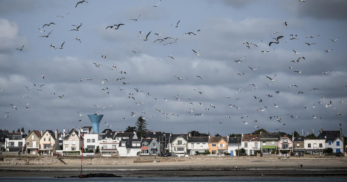 Morbihan: une voiture tombe dans le port de Port-Louis, faisant deux morts
