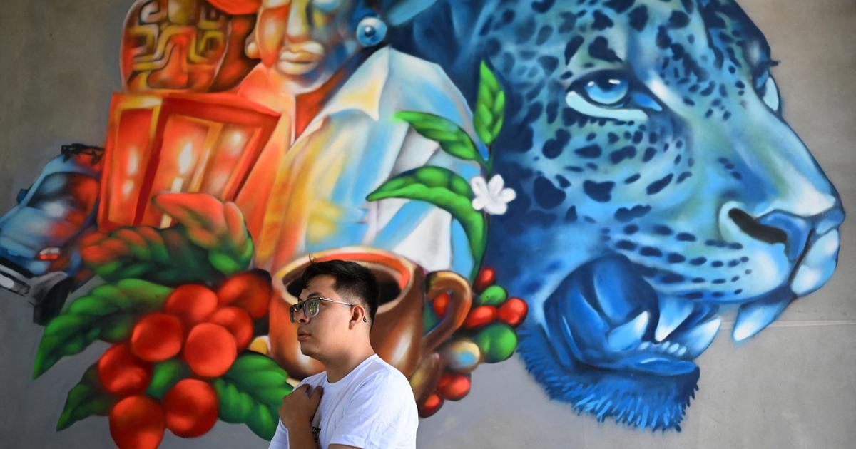 « Nous avons repris les murs aux gangs » : au Salvador, les graffeurs retrouvent leur liberté de créer