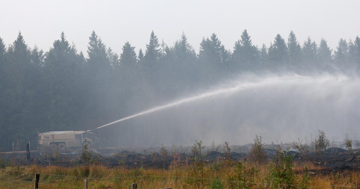 Les incendies ont fait chuter la fréquentation touristique de 50% en Gironde, selon le Medef et la CCI
