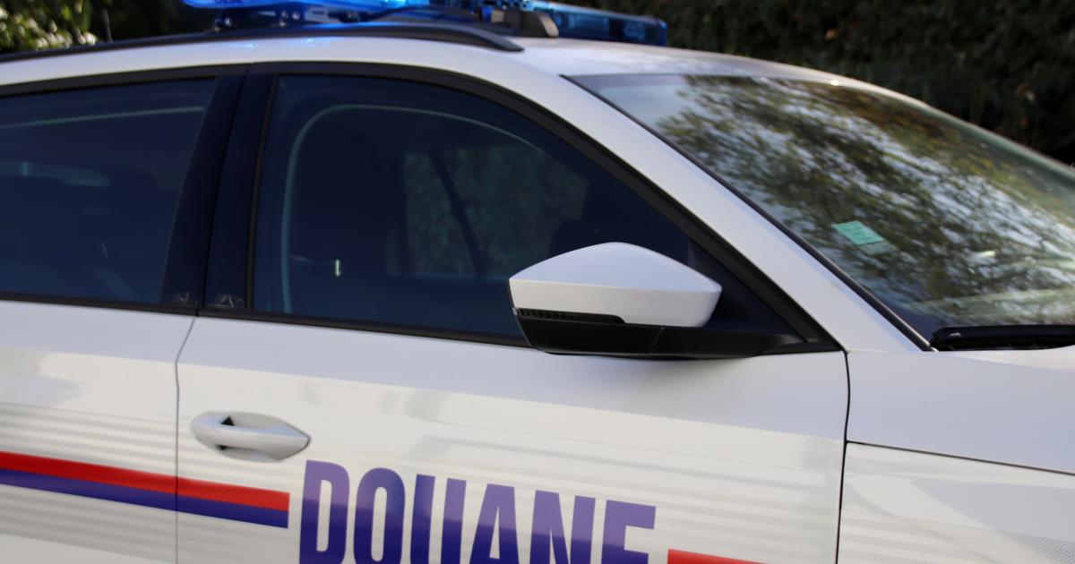 38 kg de cocaïne, 89.000 € en liquide et des armes : le mystérieux périple d’un violoniste interpellé dans les Alpes-Maritimes