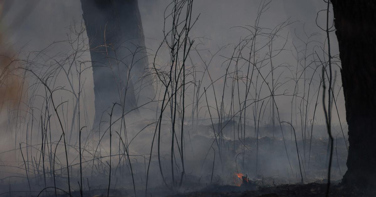 «Une catastrophe peut en annoncer une autre» : après la destruction de la forêt par les incendies en Gironde, la menace croissante des inondations