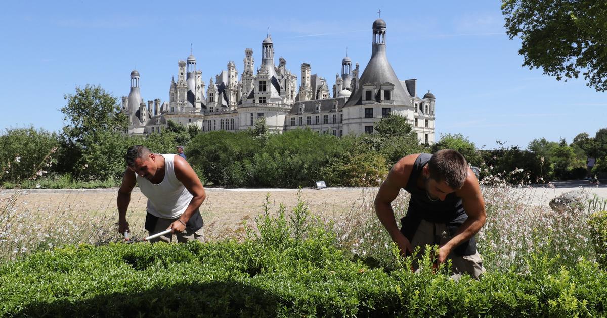 À Chambord, les pratiques évoluent pour faire face aux sécheresses qui impactent les jardins du château