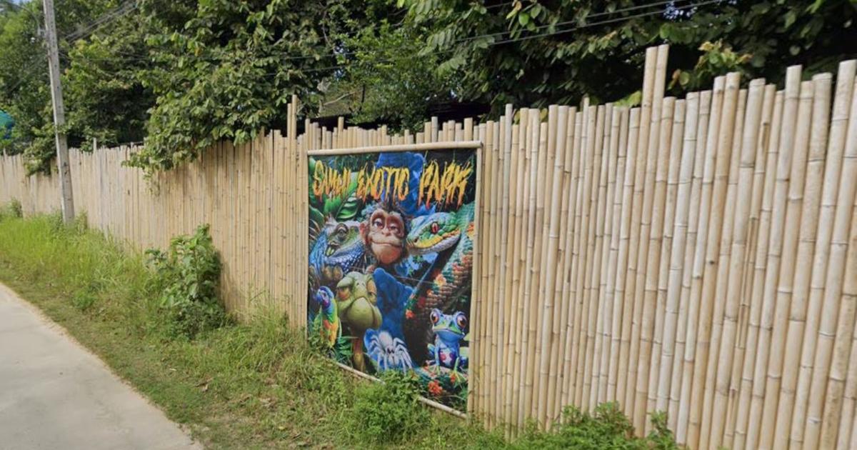 Lyon : un incendie criminel vise la mère de Kevin D., propriétaire d’un parc animalier en Thaïlande accusé d’antisémitisme