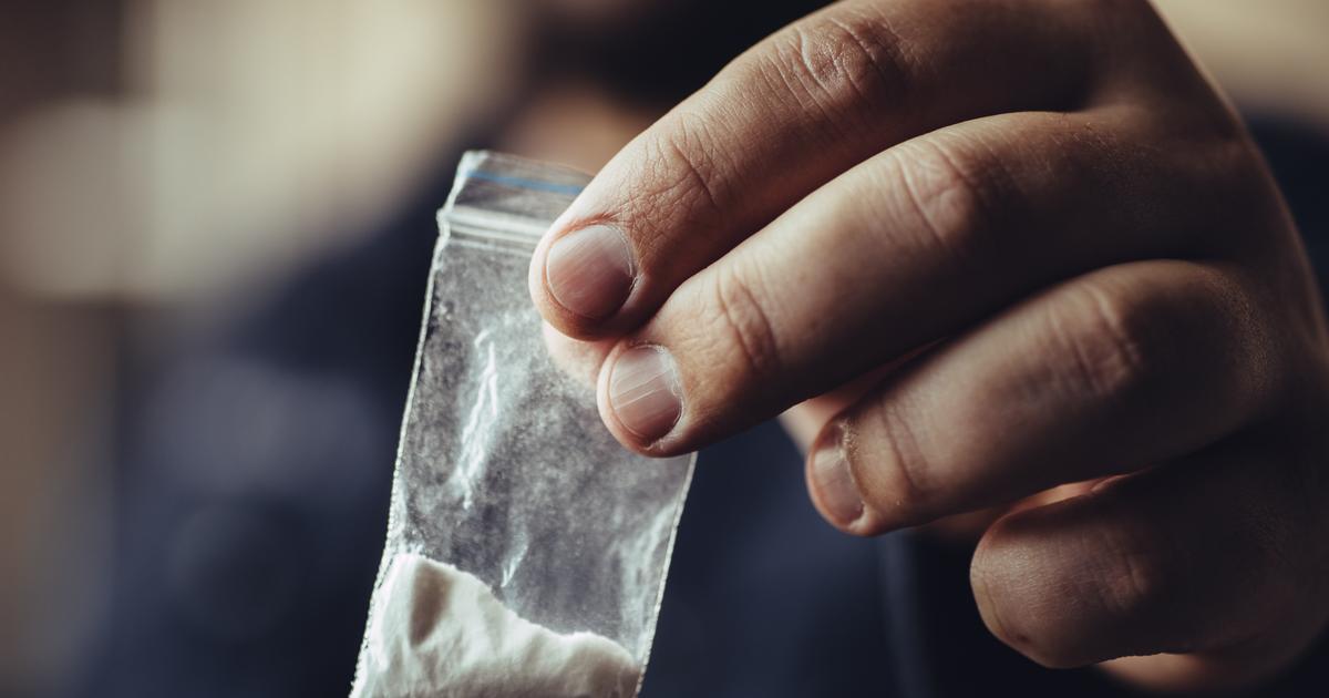 Plus de cinq tonnes de drogue saisies depuis le début de l’année dans l’agglomération parisienne