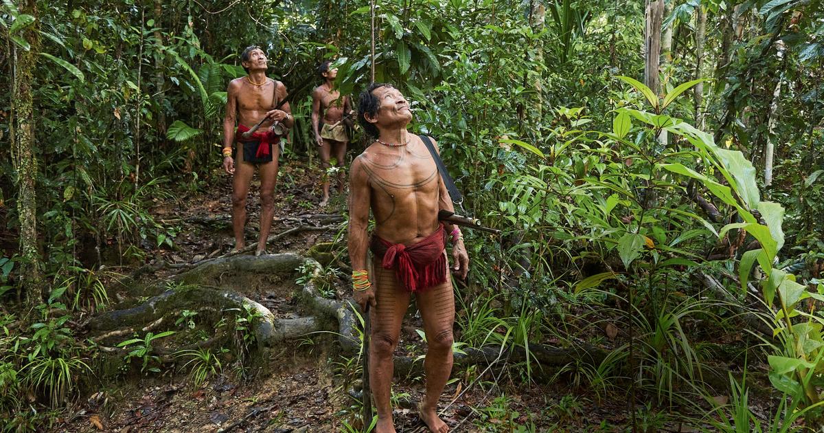 Dans l’archipel des Mentawaï, la sagesse des Sakuddeïs survit à l’ombre des forêts d’Indonésie