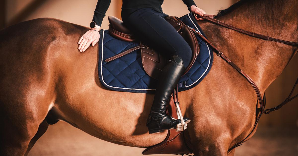 Aveyron: une adolescente de 12 ans meurt après une chute à cheval, le centre équestre fermé par la préfecture