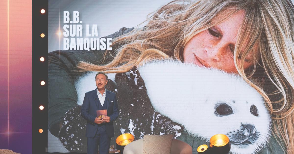 Brigitte Bardot : pour l’amour des animaux