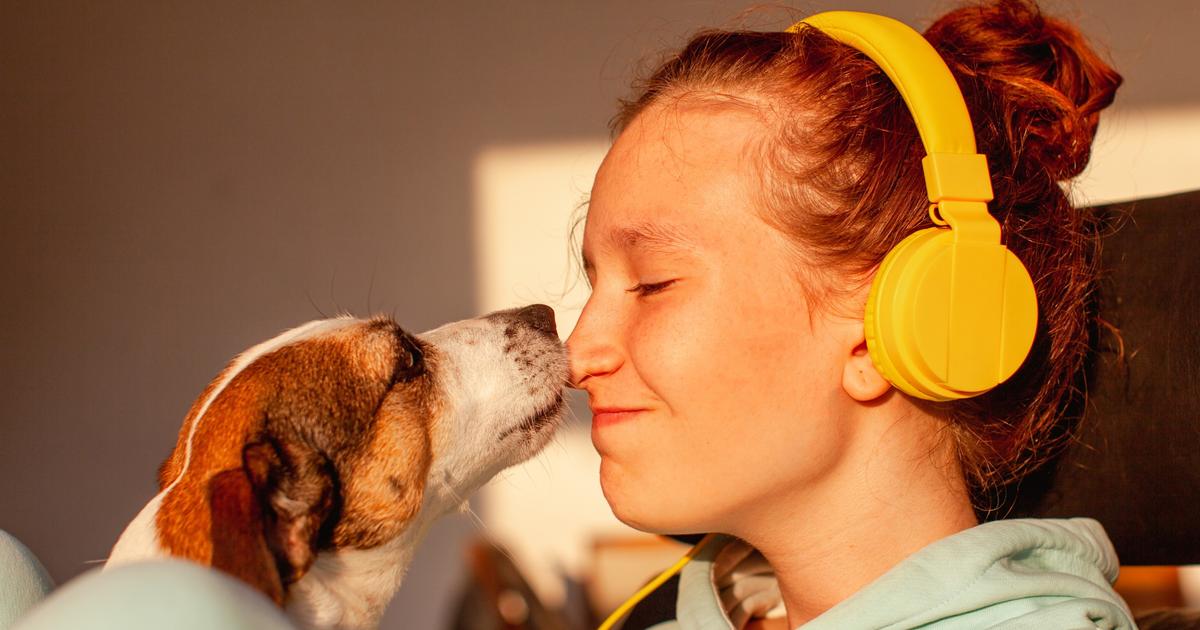 Sécurité, socialisation, gestion des émotions : pourquoi les chiens aident autant les adolescents anxieux