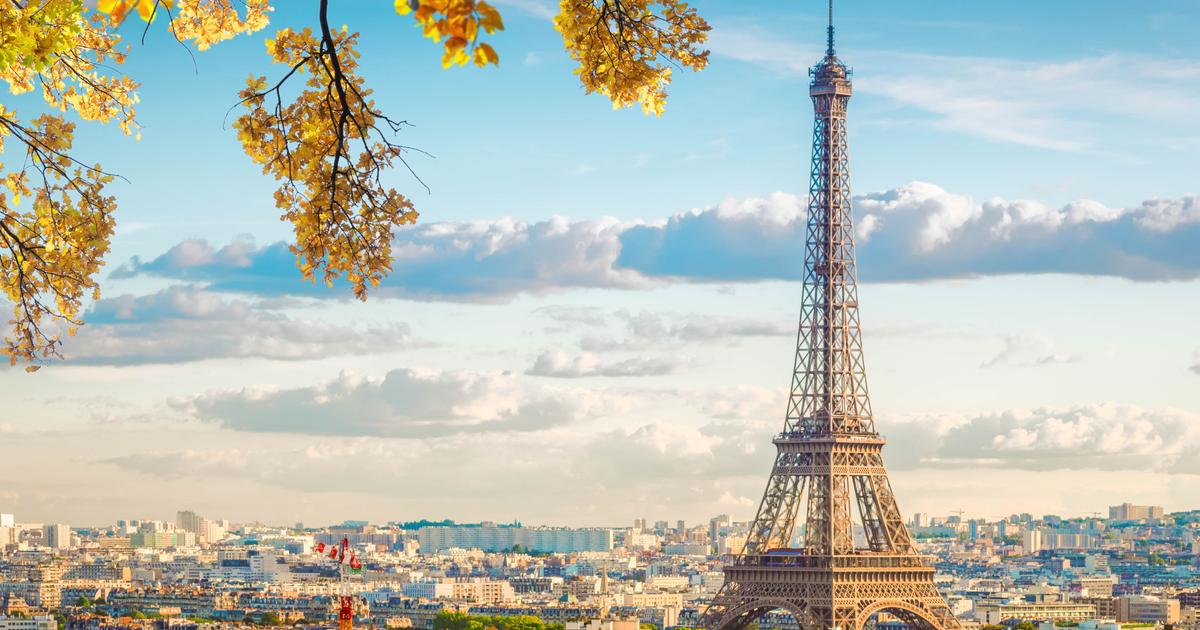 Paris prend déjà des airs d’automne: pourquoi sécheresse et canicule font tomber les feuilles des arbres