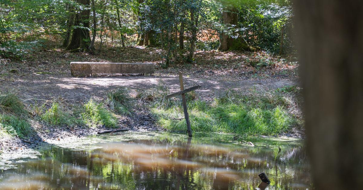 Sortilèges, envoûtements, hypnose... Dans le Berry, à la rencontre des « panseuses de secret »