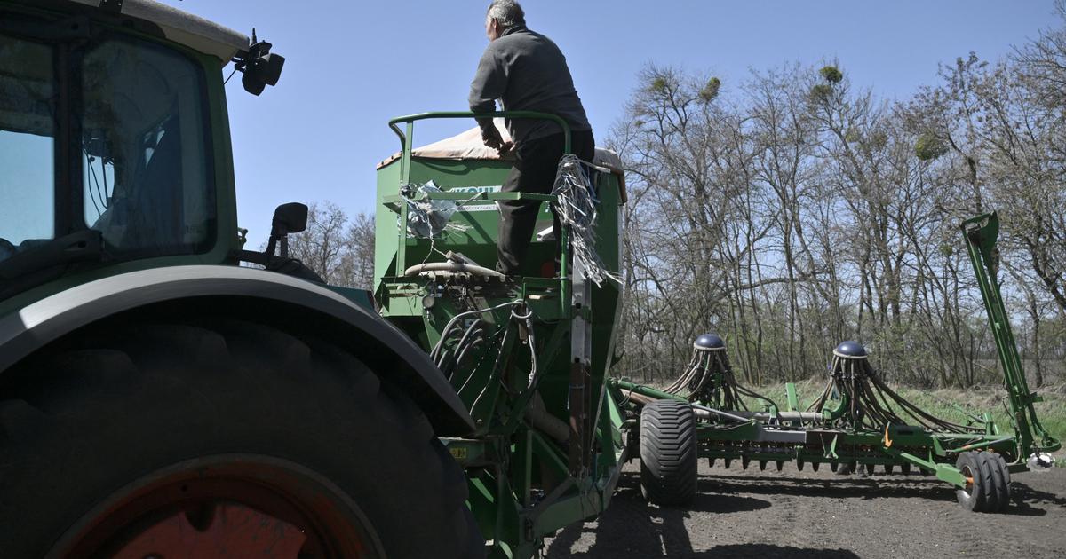 « C’est toute la PAC qu’il va falloir repenser » : l’intégration agricole de l’Ukraine, un cataclysme potentiel pour l’Europe