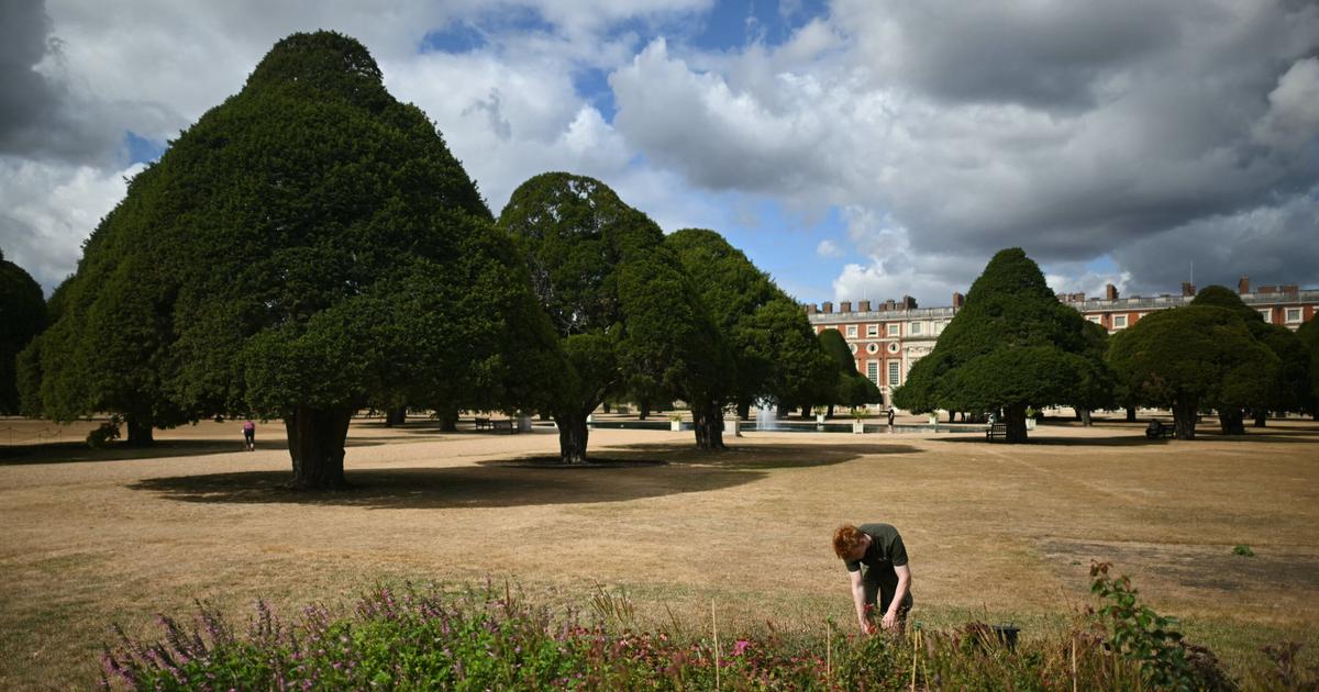 La sécheresse aura-t-elle la peau des historiques jardins à l’anglaise ?