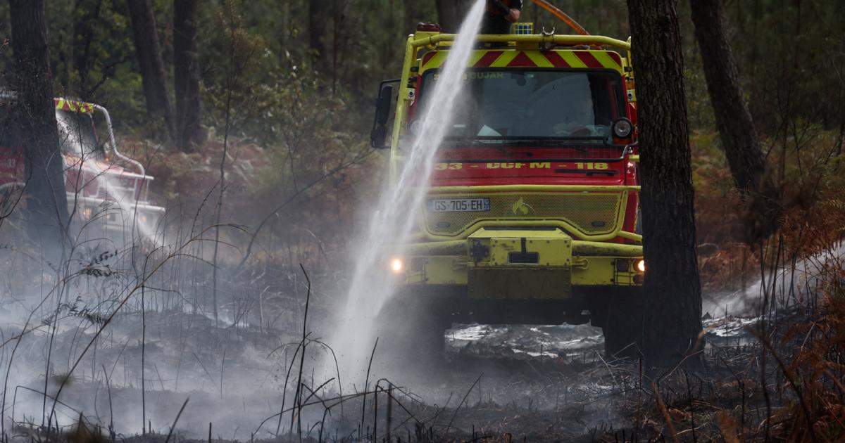 Bruno Carpentier : «L’artificialisation de nos forêts est aussi responsable des mégafeux de l’été 2026»