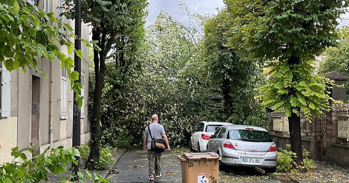 Rafales de vent à 142 km/h, grêle, chutes d’arbres : les images impressionnantes des orages qui ont balayé l’Île-de-France
