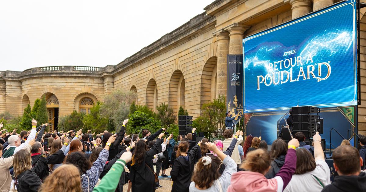 «Une œuvre universelle et transgénérationnelle» : à Versailles, la magie de Harry Potter opère toujours, 25 ans après la sortie du premier film