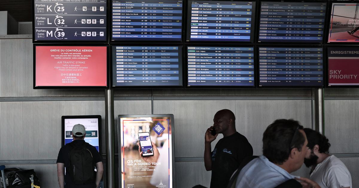 Un moustique peut-il vraiment prendre l’avion ? À Roissy, 32 cas de «paludisme d’aéroport» ont déjà été recensés