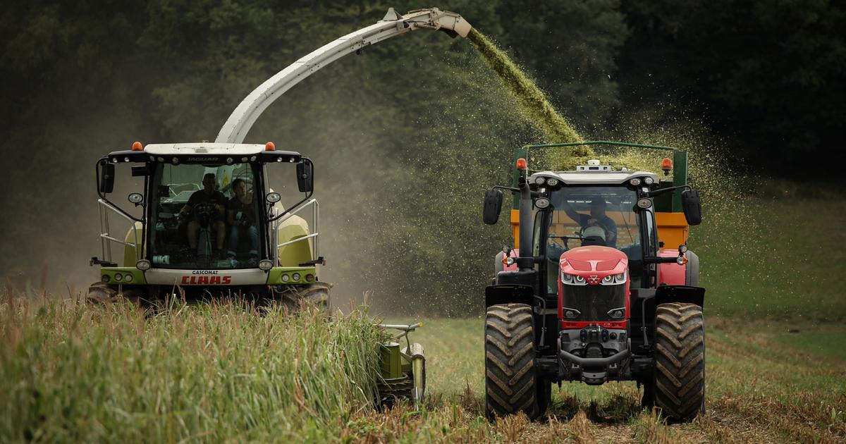 En pleine crise agricole, la Cour des comptes épingle l’utilisation française des aides de la PAC