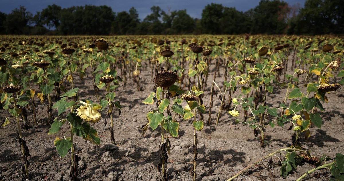Climat : l’ONU prépare le monde à un dépassement temporaire au-delà de 1,5 °C de réchauffement