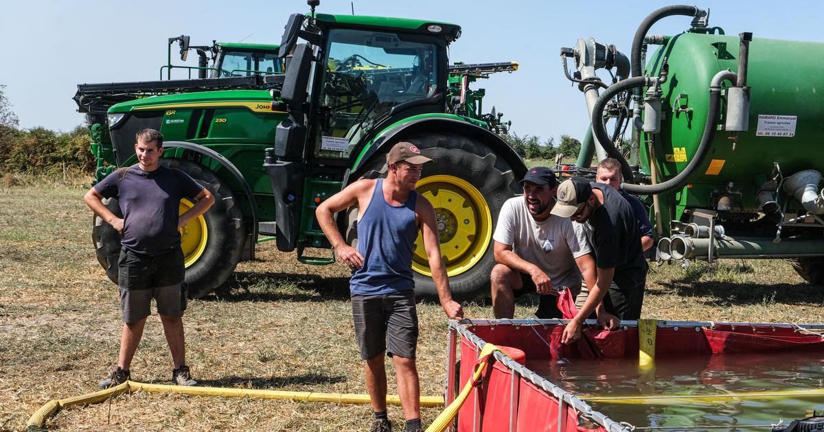 « Le pronostic vital de l’agriculture est engagé » : le plan sécheresse du gouvernement différé sur fond de négociations tendues