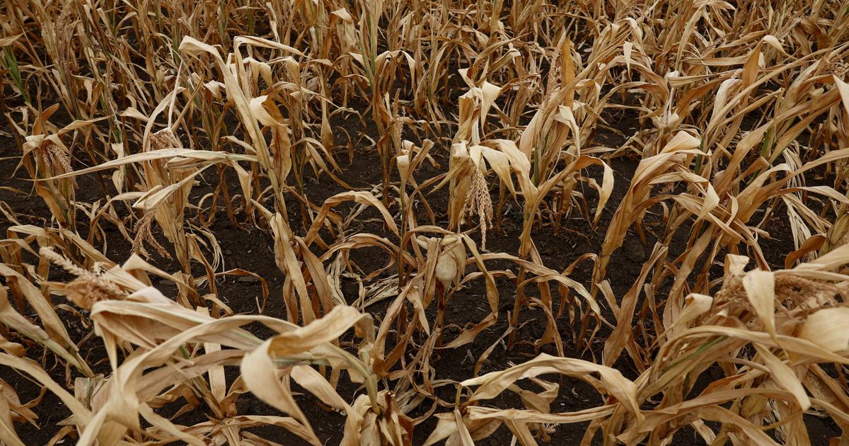 Qu’est-ce que l’«impôt sécheresse» réclamé par les agriculteurs, sur le modèle de la mesure mise en place en 1976 ?