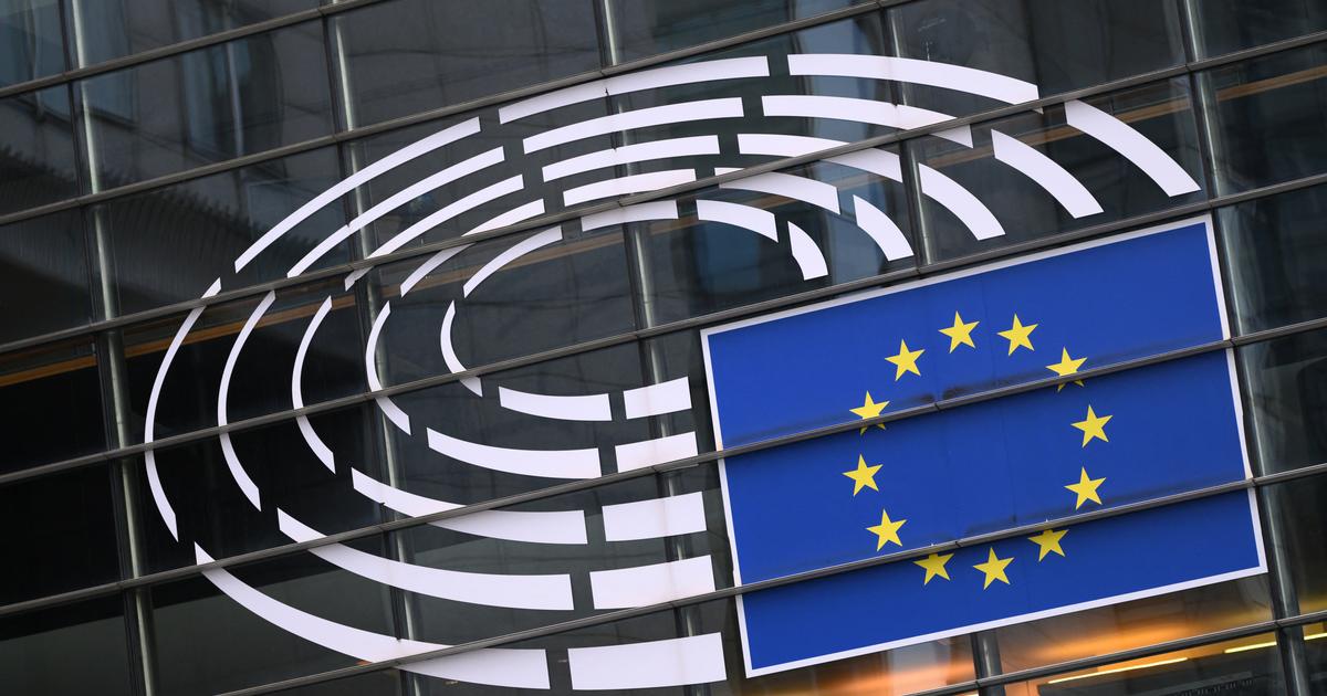 FEMYSO: EU Subsidies Continue Despite Alleged Exclusion over Muslim Brotherhood Ties