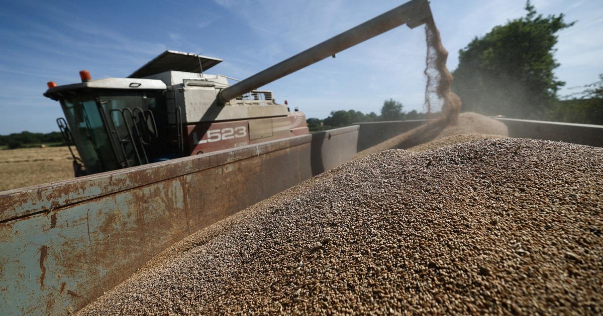 «On est très loin du compte» : le plan d’aides du gouvernement jugé très décevant par les agriculteurs