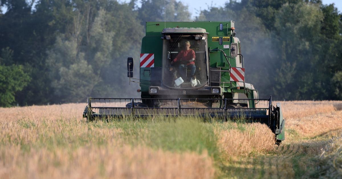 Fonds d'indemnisation des victimes de pesticides : plus de 1000 demandes en 2025, en augmentation de 6,8%