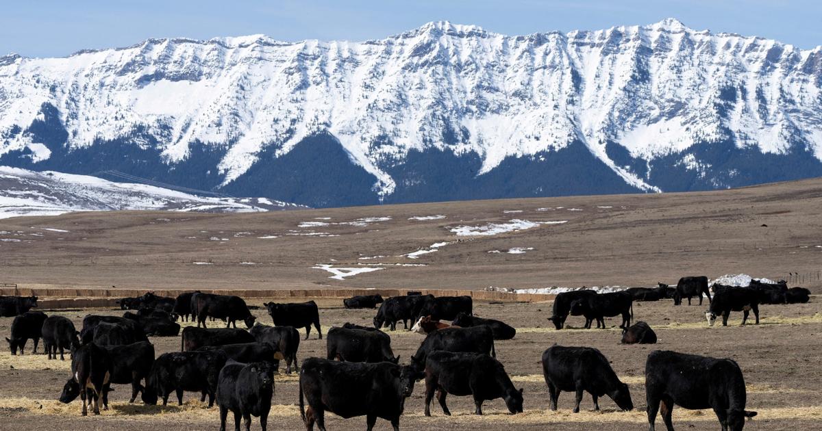 L’Alberta, province canadienne sous le feu des campagnes d’influence étrangères