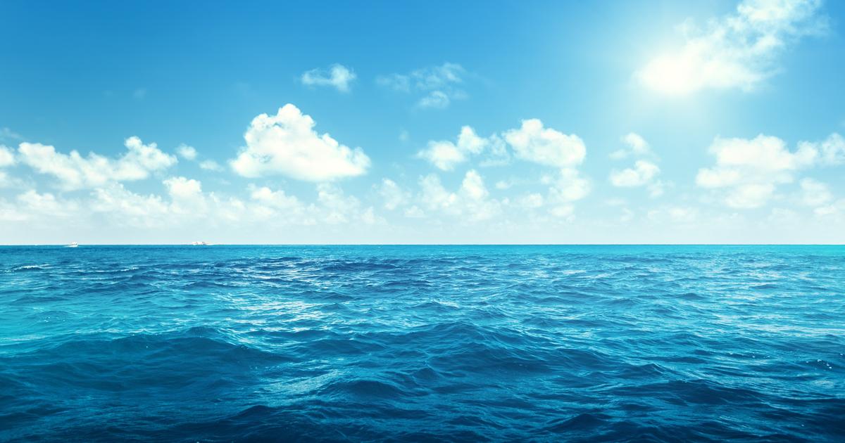 Dans le monde, moins de 2 % de la surface des océans serait vraiment protégée