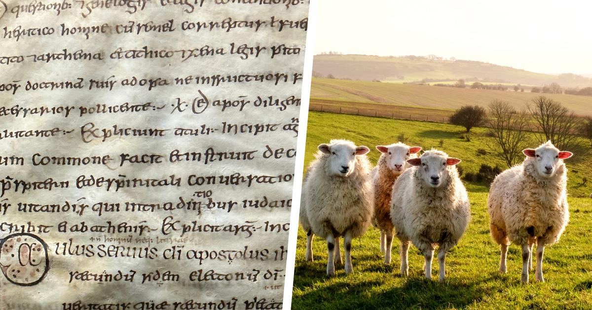 Des virus conservés dans des évangiles médiévaux révèlent l’histoire de la variole du mouton