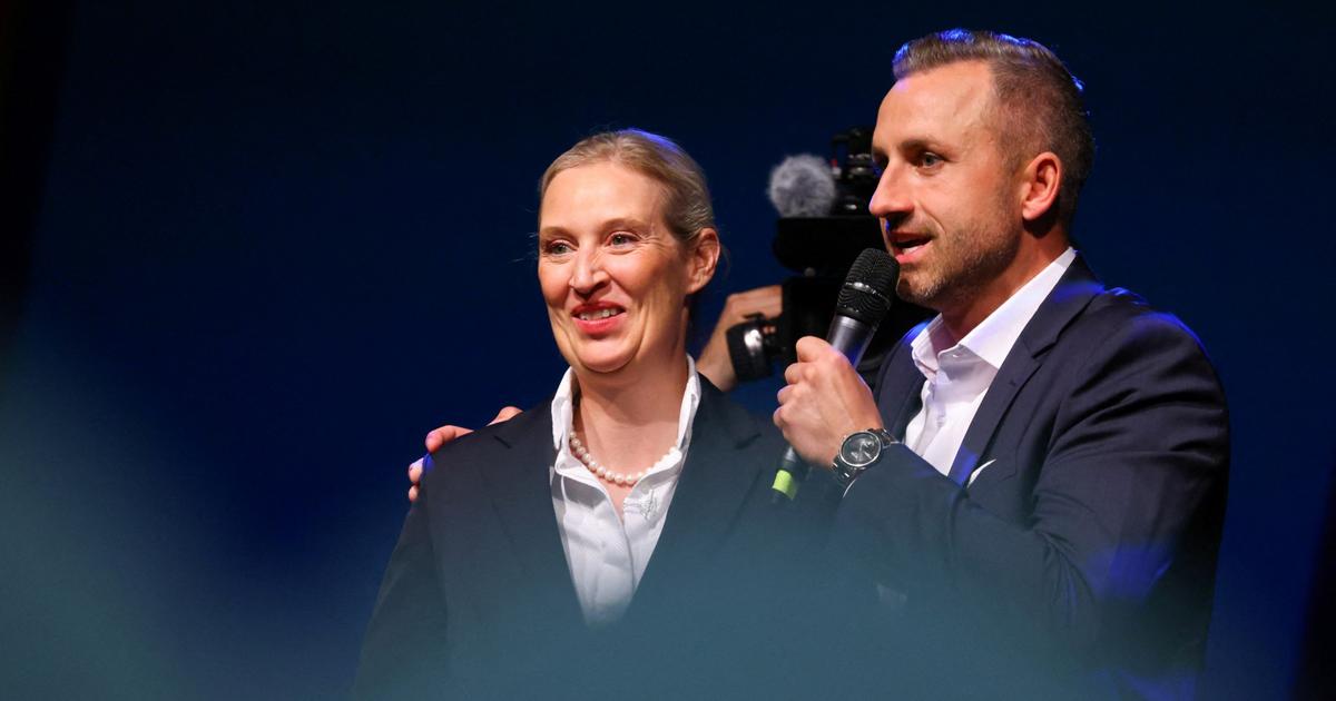«Remigration», école à la maison, audiovisuel public réduit... Dix mesures phares du programme de l’AfD en Saxe-Anhalt