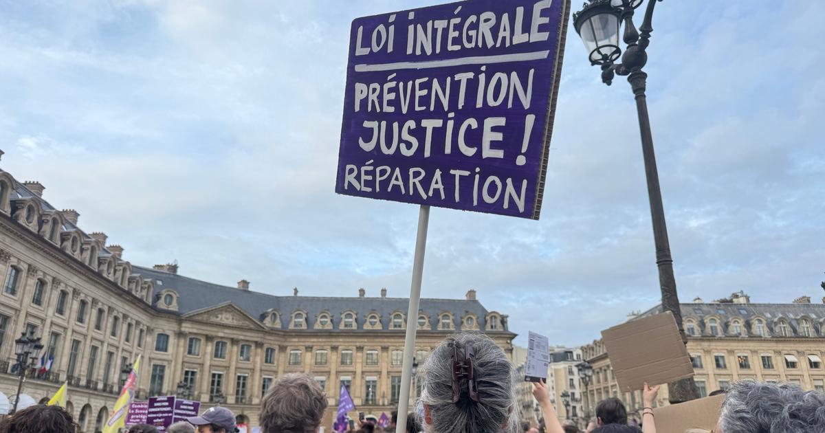 «Sans moyens, elle ne servira à rien» : à Paris, les manifestants réclament 3 milliards d’euros par an pour la «loi intégrale»