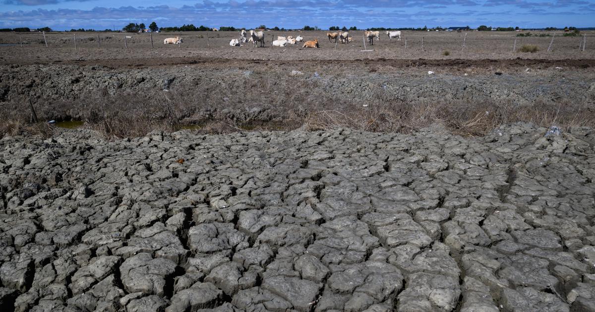 Sécheresse : la France face à «un niveau de dégradation exceptionnel»