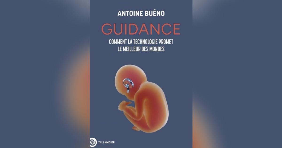 Charles Jaigu : « IA : bienvenue dans le monde de la guidance »