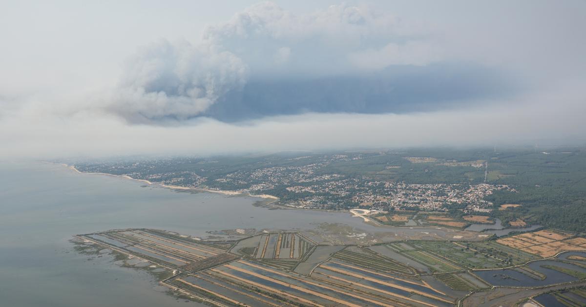 « C’est du racket » : trois communes du bassin d’Arcachon accusent l’État de faire main basse sur leurs forêts