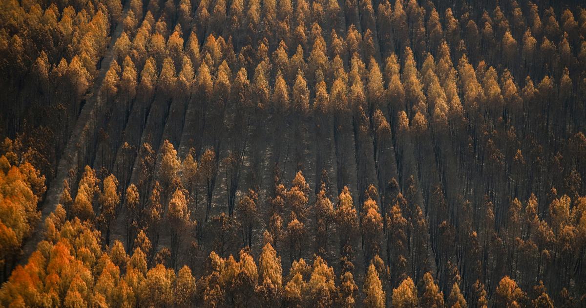 Le mois d’août 2026 a été le mois le plus chaud jamais mesuré dans le monde