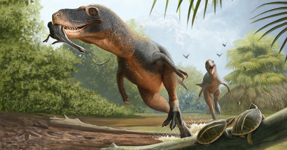 Mais pourquoi les oiseaux ont-ils survécu aux autres dinosaures il y a 66 millions d’années ?