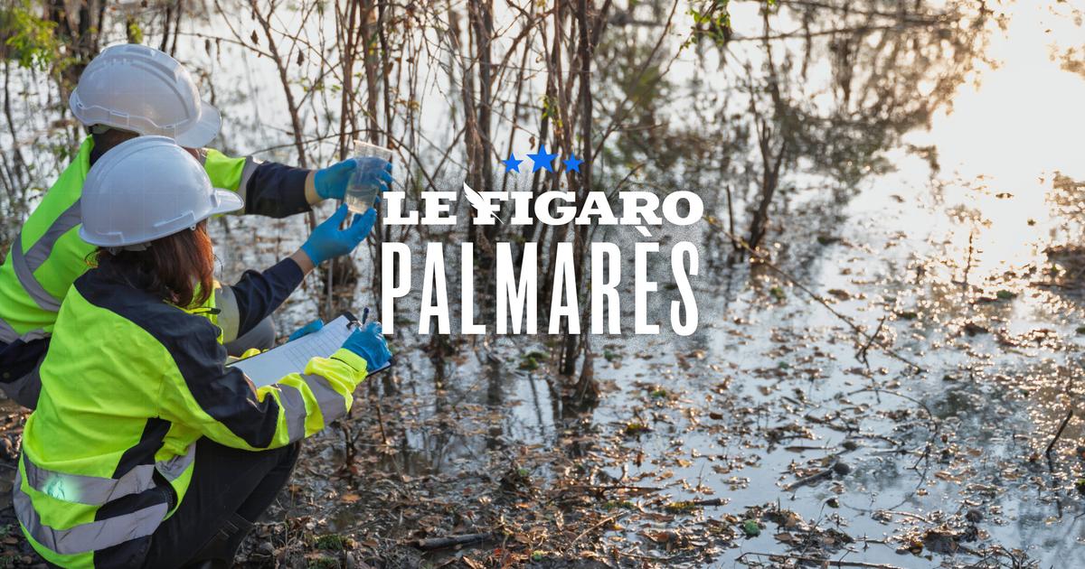 « Des emplois concrets, où l’on se sent utile » : notre palmarès des métiers de plein air les mieux rémunérés