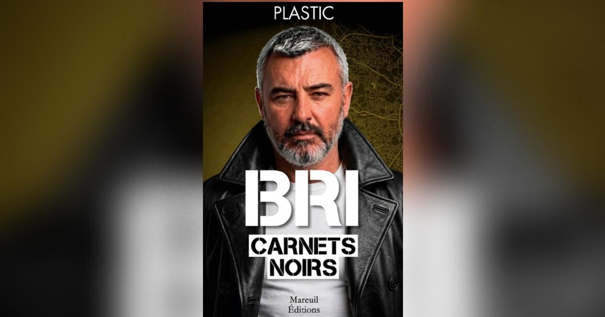 BRI, carnets noirs : les mémoires sans filtre d’un ancien crack de l’antigang