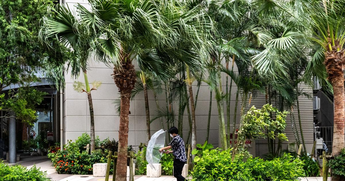 Au Japon, le nombre de centenaires dépasse les 100.000 pour la première fois