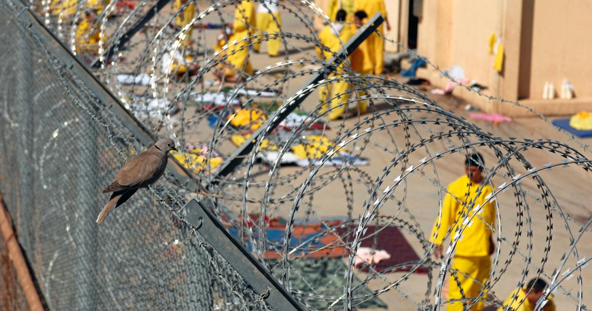 Stéphane Azihari : « Ces 25 djihadistes qui implorent la clémence de l’Europe »