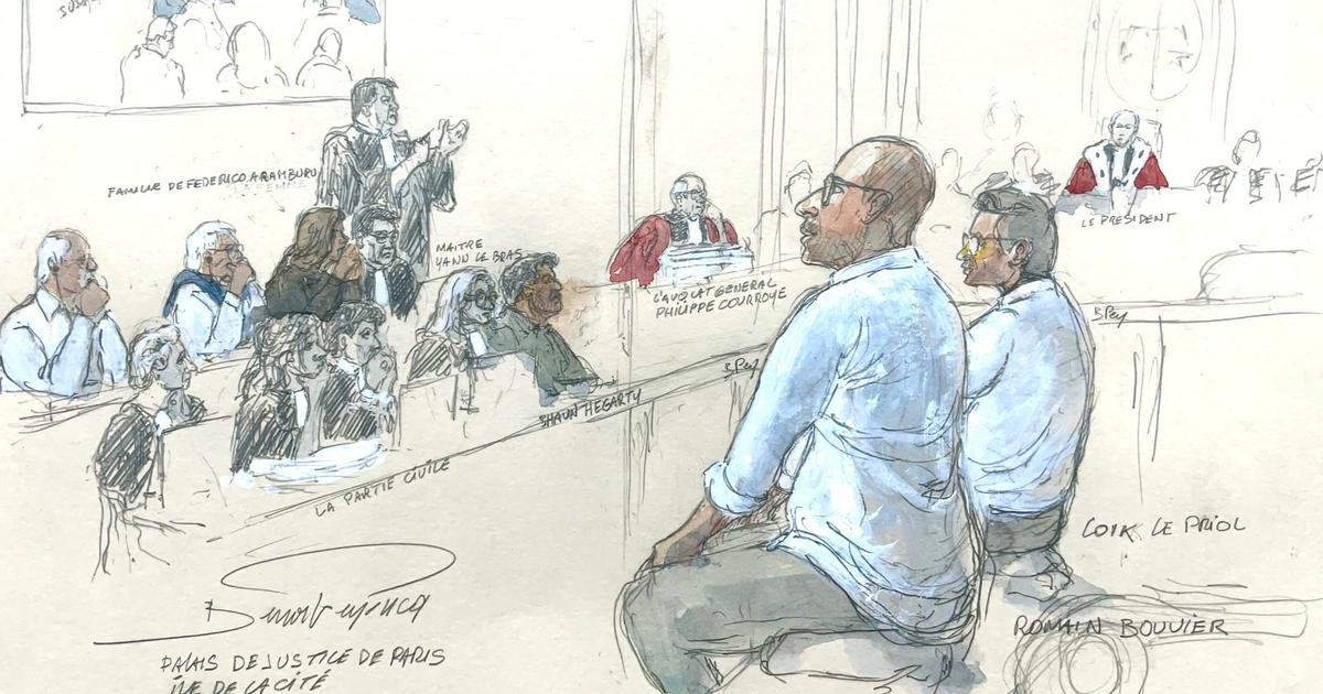 «Un psychopathe de bonne famille» : au procès Aramburu, les experts psychiatres tentent de décrypter Loïk Le Priol