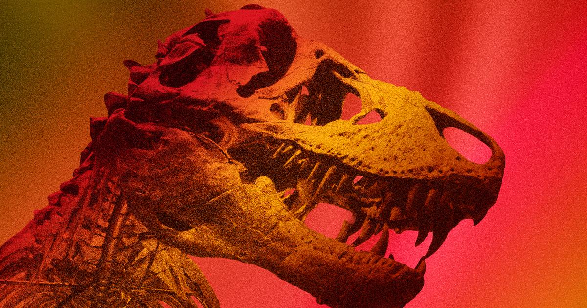 Sang chaud ou froid ? Des chercheurs ont déterminé la température corporelle du Tyrannosaure rex… grâce à ses dents