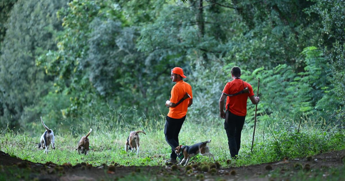 Après un été marqué par les feux de forêts, une ouverture de la chasse sous tension