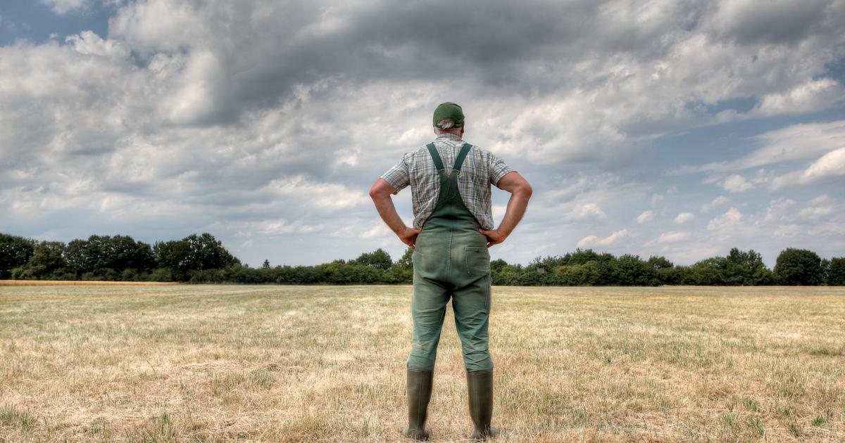 «Est-ce qu’on veut encore de nous ?» : acculés et déprimés, ces agriculteurs prêts à jeter l’éponge