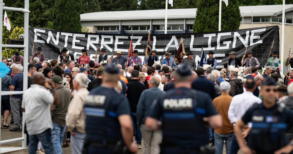 «C’est assez unique en France» : en Camargue, politiques de tout bord, écolos et agriculteurs unis contre la ligne à haute tension