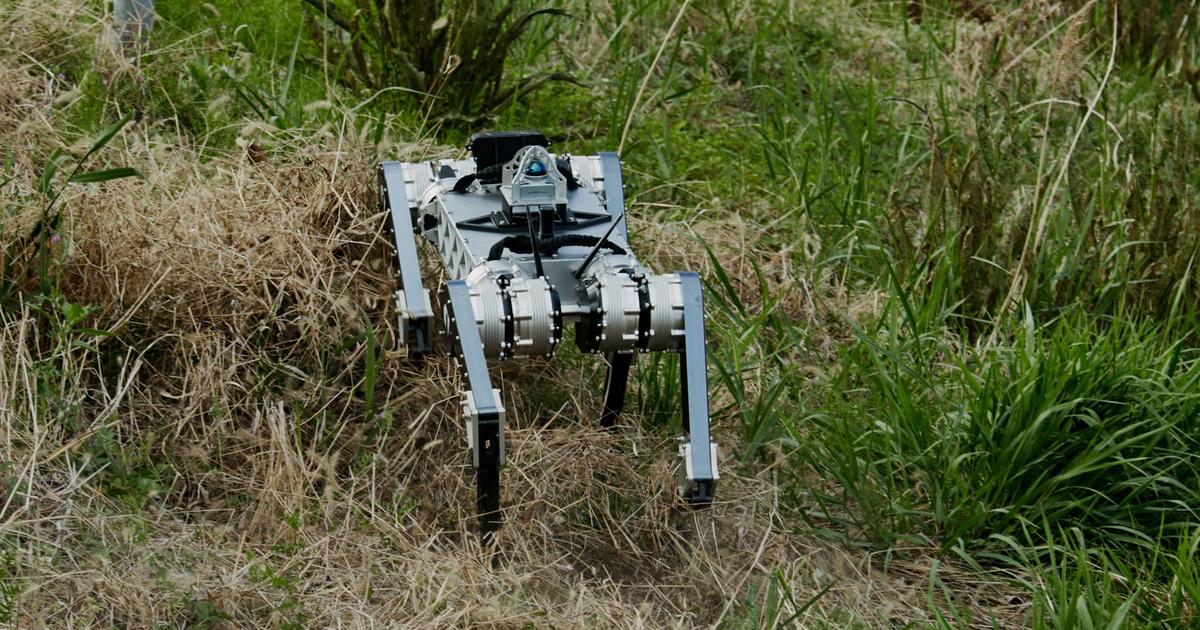 « C’est bluffant ! » : Raibo2, le robot marathonien hyperéconome en énergie